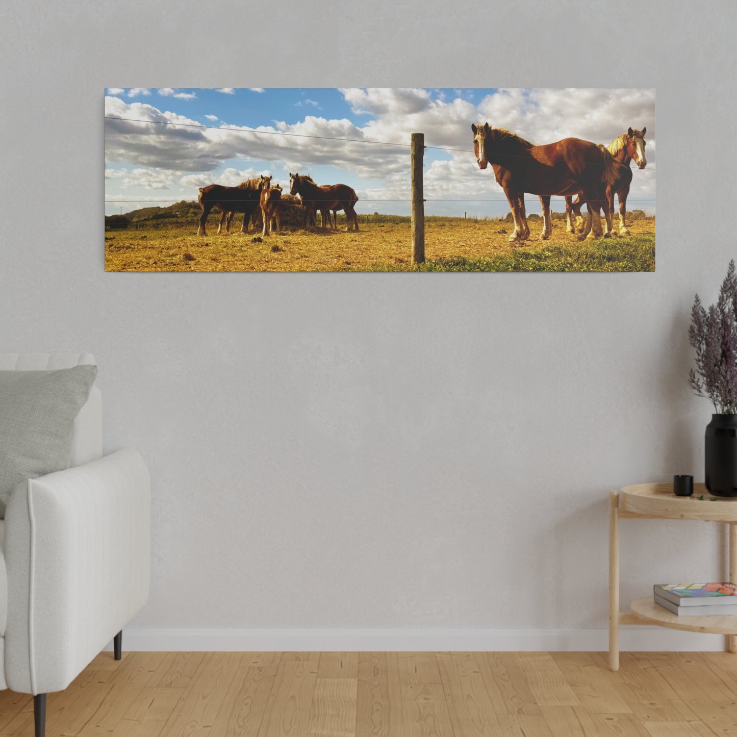 A Horizontal Canvas Photo Print of - Horses in a Pennsylvania Dutch Field.
