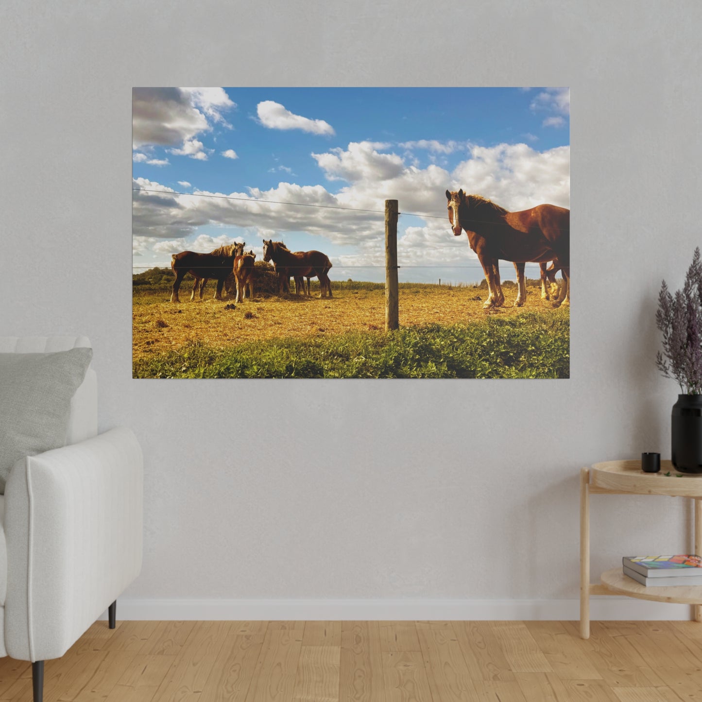A Horizontal Canvas Photo Print of - Horses in a Pennsylvania Dutch Field.