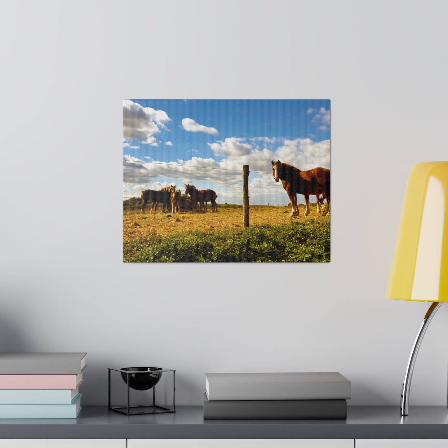 A Horizontal Canvas Photo Print of - Horses in a Pennsylvania Dutch Field.