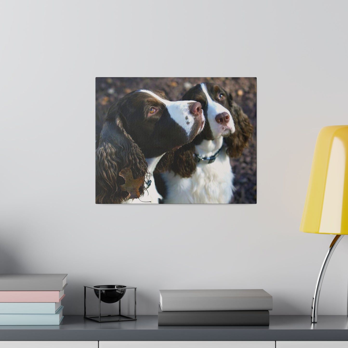 A Horizontal Canvas Photo Print of - George and Gracie, English Springer Spaniels.